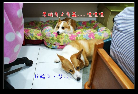 DSC04612.JPG DSC04612.JPG