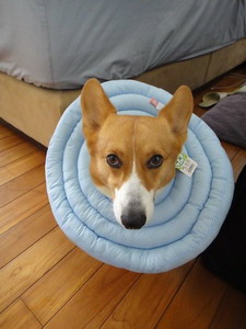 d402ce45edeb16d5158bf54b584b4572.jpg d402ce45edeb16d5158bf54b584b4572.jpg