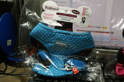 DSC06542.JPG DSC06542.JPG