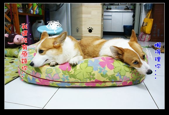 DSC04725.JPG DSC04725.JPG