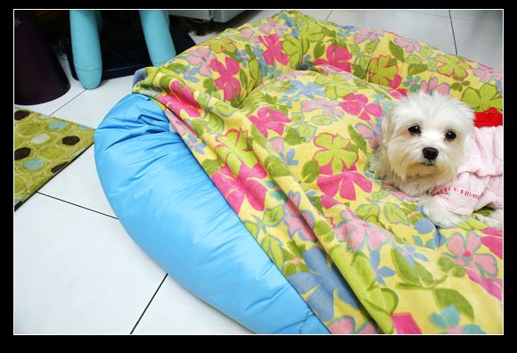 DSC04760.JPG DSC04760.JPG