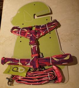 DSC04513.jpg DSC04513.jpg