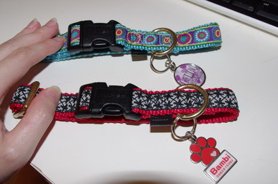 IMGP2046.JPG IMGP2046.JPG