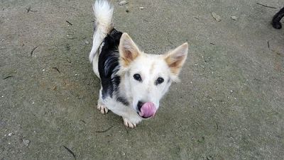 5467707239_4c65b6a502_z.jpg 5467707239_4c65b6a502_z.jpg