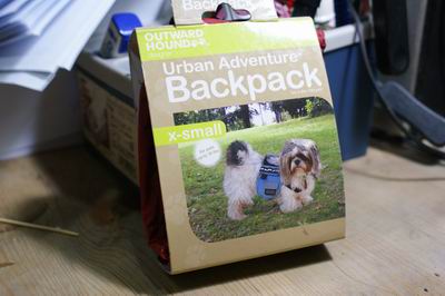 DSC06538.JPG DSC06538.JPG