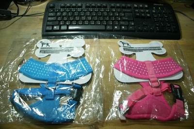 DSC06546.JPG DSC06546.JPG