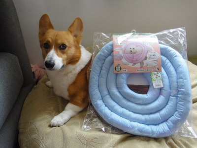 52b2a2158c20b898a6004e7c5709d2ab.jpg 52b2a2158c20b898a6004e7c5709d2ab.jpg