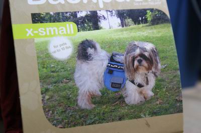 DSC06540.JPG DSC06540.JPG