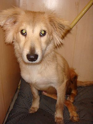 untitled.jpg untitled.jpg