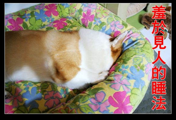 DSC04644.JPG DSC04644.JPG