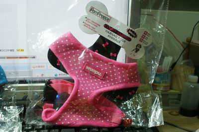 DSC06543.JPG DSC06543.JPG