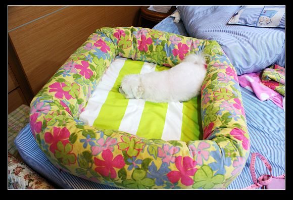 DSC04545.JPG DSC04545.JPG