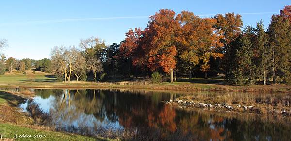 IMG_1912 IMG_1912