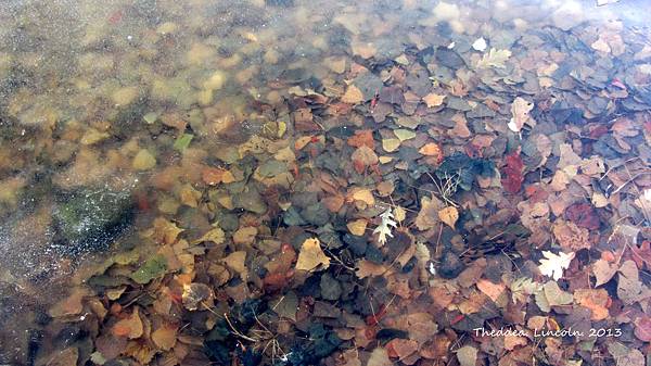 IMG_2963 IMG_2963