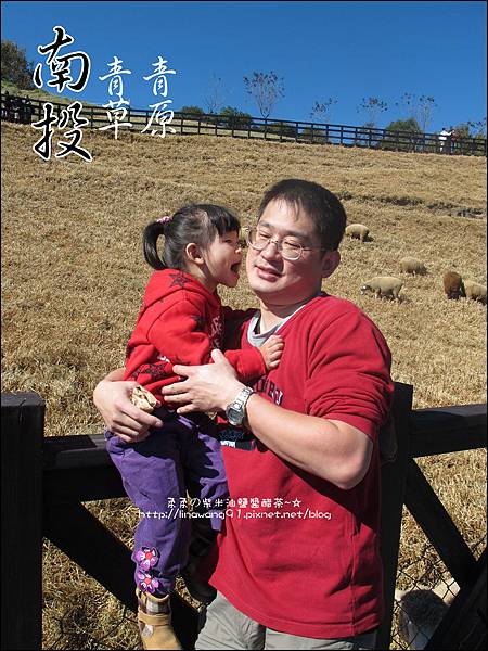 2010-1212 -南投-清境農場-青青草原 (23).jpg