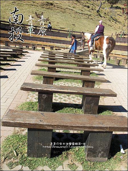 2010-1212 -南投-清境農場-青青草原 (29).jpg