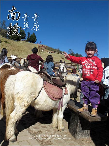 2010-1212 -南投-清境農場-青青草原 (33).jpg