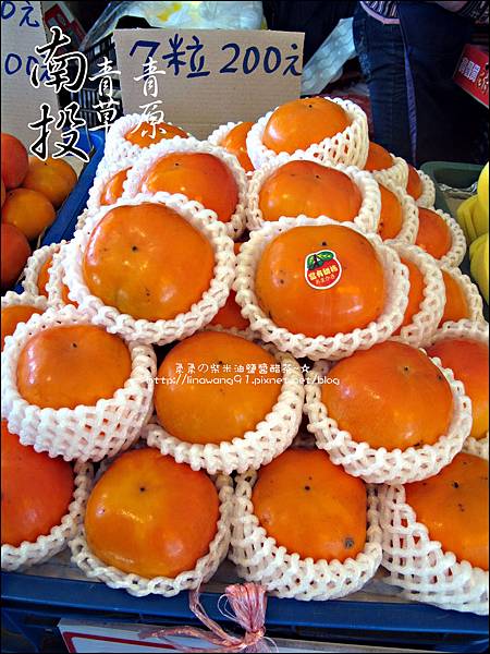 2010-1212 -南投-清境農場-青青草原 (37).jpg