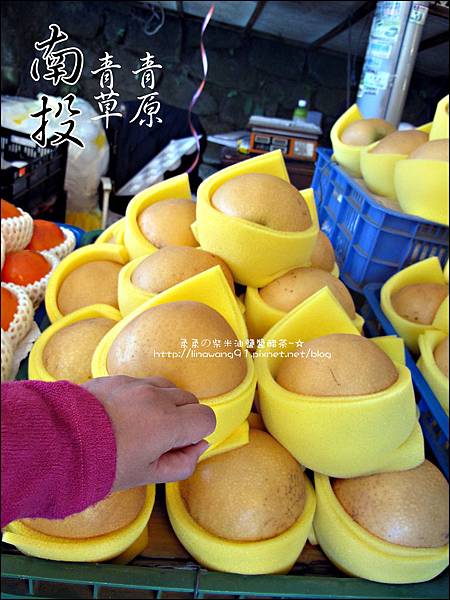 2010-1212 -南投-清境農場-青青草原 (38).jpg