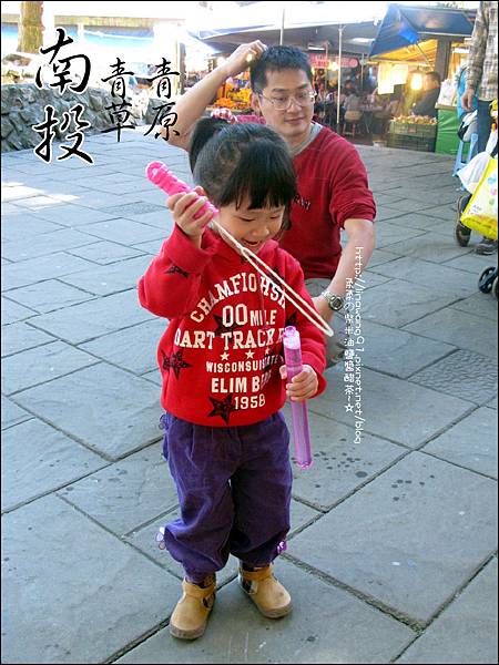2010-1212 -南投-清境農場-青青草原 (45).jpg