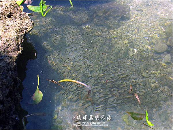 2014-0526-屏東-小琉球-花瓶岩 (12).jpg