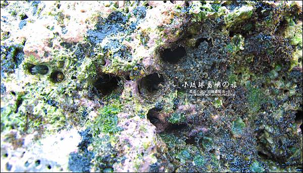 2014-0526-屏東-小琉球-花瓶岩 (13).jpg