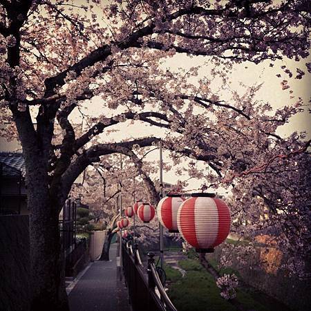 533767_4757023006878_497709958_n