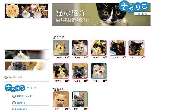 Capture_03022014_180633