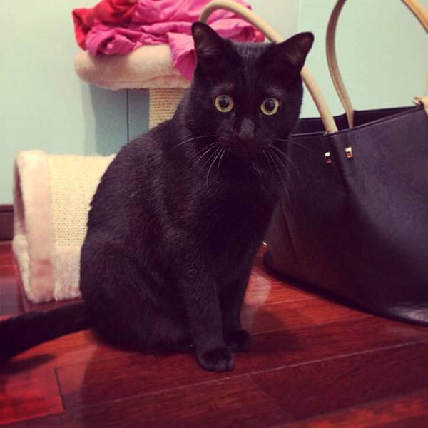 1526991_10201838280382064_593902672_n