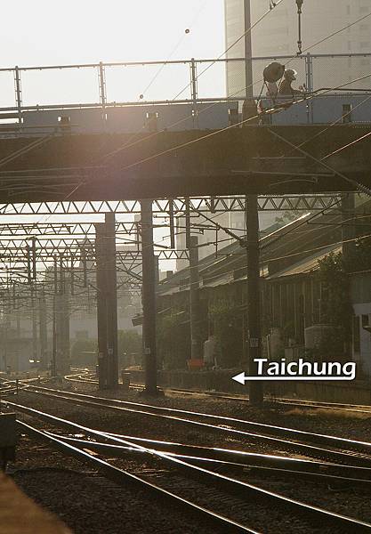 Taichung-117 Taichung-117