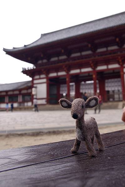 東大寺-35 東大寺-35