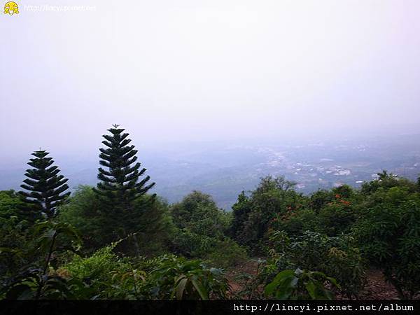 R0017394.JPG R0017394.JPG