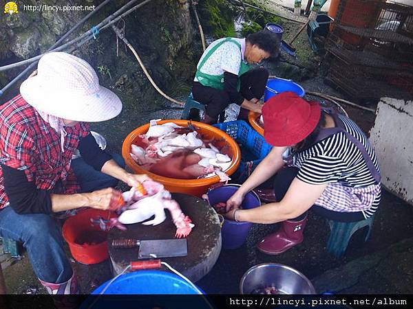 R0017308.JPG R0017308.JPG