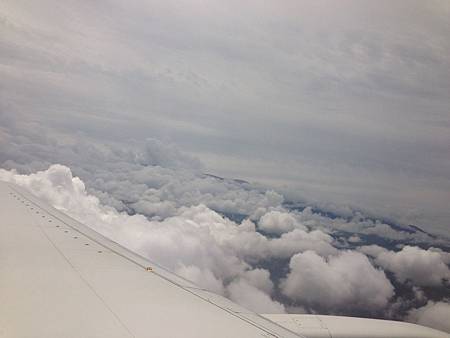 IMG_3019 IMG_3019