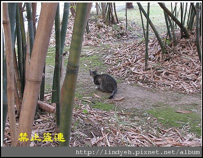 taan_park_03.jpg