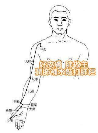 1521502_843783855647878_608060986_n