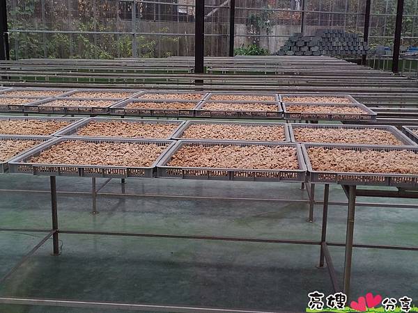  梅山觀光工廠 梅問屋梅子元氣館 