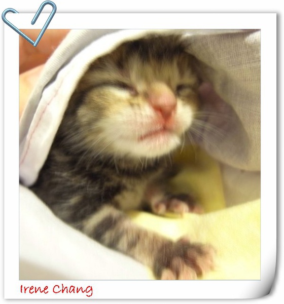 9900806.jpg 9900806.jpg