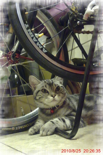 PhotoCap_007.jpg PhotoCap_007.jpg