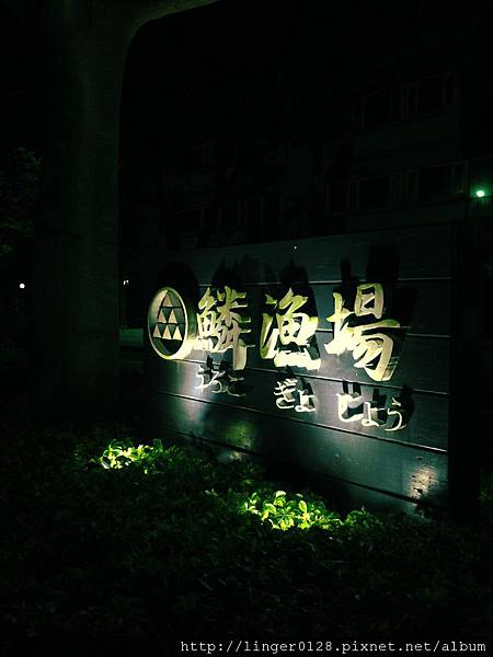 照片 249 照片 249