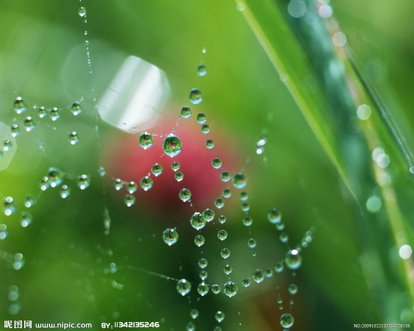 雨.jpg