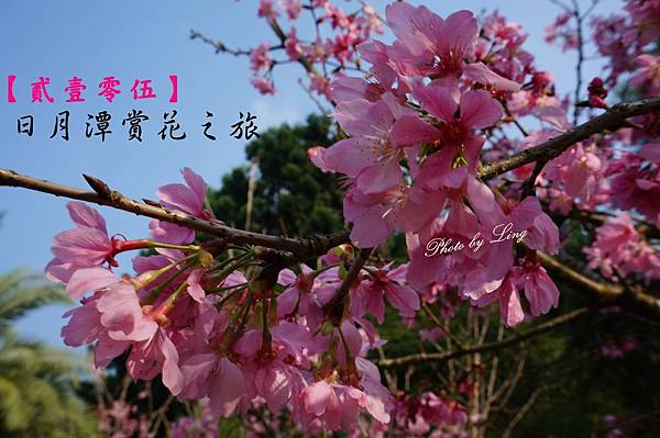 DSC05209_副本2.jpg DSC05209_副本2.jpg
