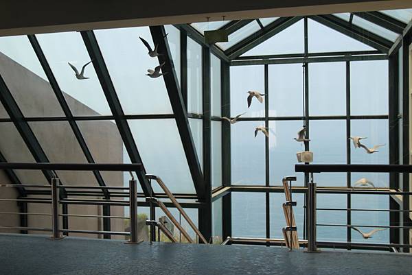 東引遊客中心的燕鷗布置