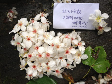IMG_5474 IMG_5474