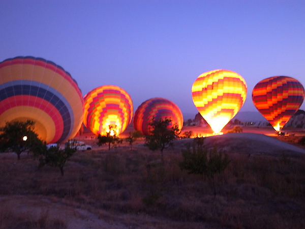 一顆顆站起來真可愛 一顆顆站起來真可愛