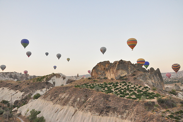 大家一起往上飛 大家一起往上飛