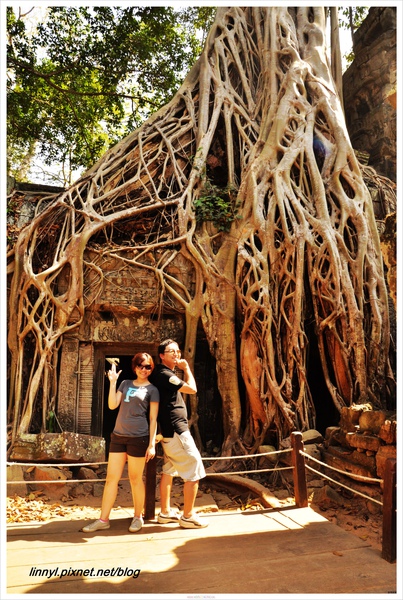 古墓奇兵.jpg 古墓奇兵.jpg