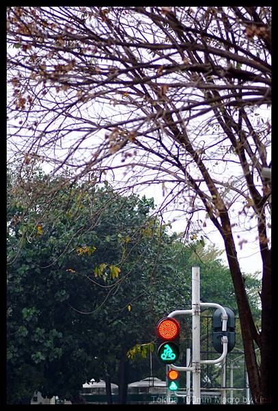 DSCF1990.jpg DSCF1990.jpg