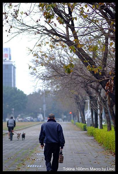 DSCF1968.jpg DSCF1968.jpg