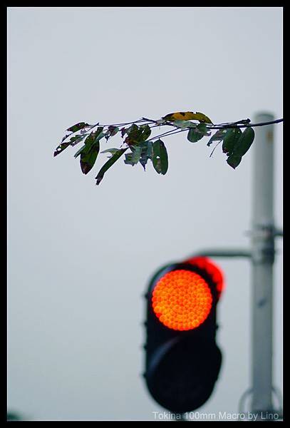 DSCF1997.jpg DSCF1997.jpg